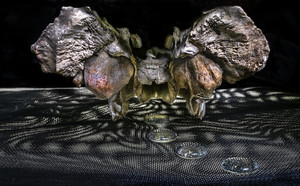 Frani Evedon, "Into Madness"