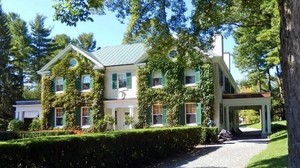 Summer Sunday Stroll - Horsin' Around Saratoga