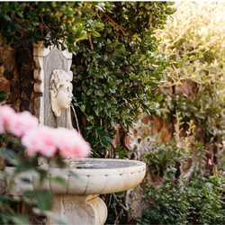Summer BloomFest: Full Bloom Garden Tour