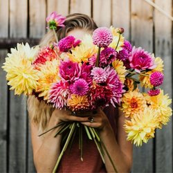 Summer BloomFest: Cut Flowers Garden Tour & Bouquet Workshop