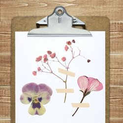 Summer BloomFest: Pressed Flower Workshop and Garden Tour