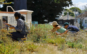 Saturdays in the Soil