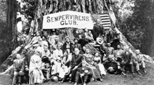 Redwood Stewardship with the Sempervirens Fund