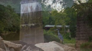 Drowned Land (Tulsa Premiere) and Voices for the Water (Panel Discussion)