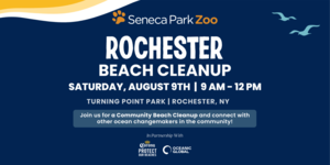 Community CleanUp In partnership with Corona USA and Oceanic Global