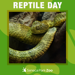 Reptile Day