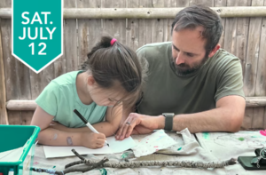 Free Family Day at The Umbrella Arts Center