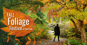 Fall Foliage Festival and Plant Sale at Rhododendron Species Botanical Garden