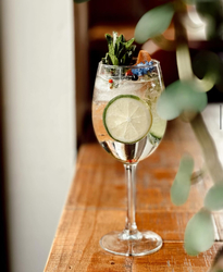 Summer Gin Cocktails at Roots Cafe