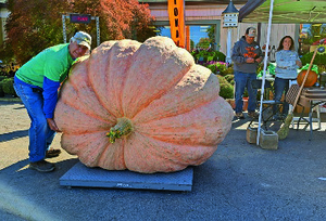 Oakland Fall Festival Dublin Store