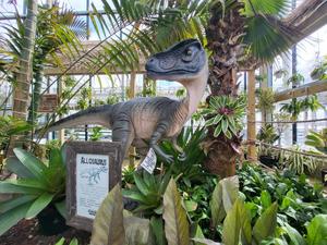 Oakland Fall Festival Delaware Store