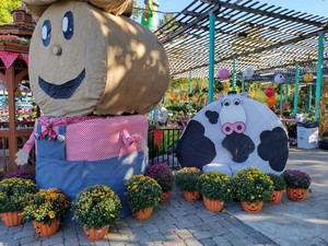 Oakland Fall Festival Columbus Store