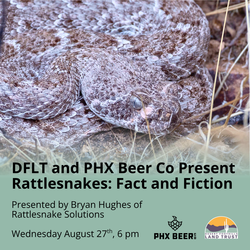 Rattlesnakes, Fact and Fiction at PHX Beer Co