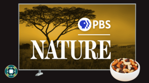 Teen Hangout: Make Trail Mix and Watch PBS Nature at the LSF Brookfield Library