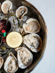 National Oyster Day, August 5