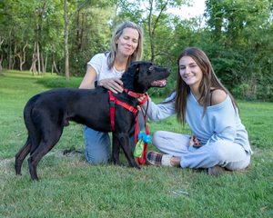 To Love a Canine Rescue Comedy Fundraiser
