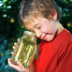 Family Day: Starry Skies & Fireflies