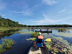 Join us for this Minsi Lake Canoe Paddle !