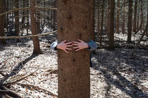 Join Our PreK Pathfinders Tree Tea Party at Trexler Nature Preserve!