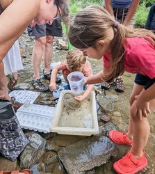 Join Wildlands Conservancy's Explorer Day Camp on August 13!