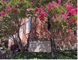 Learning at Lunch: Troublemakers of the NWP