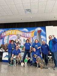 Chicagoland Dog Adoption Event to be held at Yorktown Center July 19 from 12pm -3pm