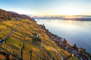 Borderlines & Balance: Wines of Germany & Alsace