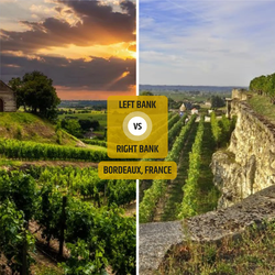 Battle of the Banks: Right Bank vs Left Bank Bordeaux France