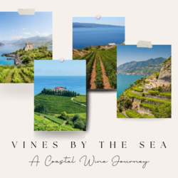 Vines by the Sea: A Global Coastal Wine Journey