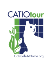 13th Annual Catio Tour