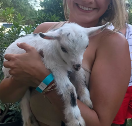 Goat Yoga at Hyatt Regency Hill Country