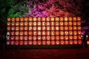 The Great Pumpkin Trail