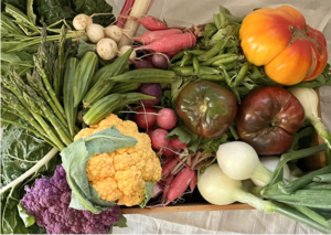 Miel’s Annual Harvest Dinner