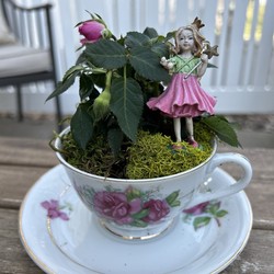 Tea Cup Fairy Garden Workshop (Fundraiser)