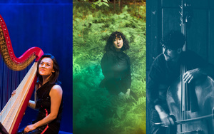 Lavinia Meijer (harp), Clarice Jensen (cello), Caimin Gilmore (double bass)