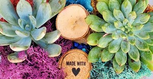 Plant & Sip at Tande Thai