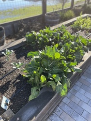 Garden with the Masters