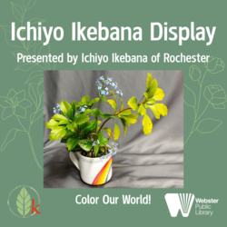 Ichiyo Ikebana Display - Color Our World