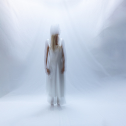 ‘Regeneration / Transformation’ exhibit at Imago Gallery explores renewal and change