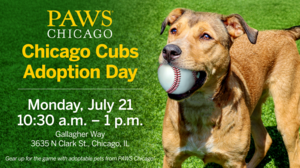 Chicago Cubs Adoption Event