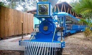 Behind the Tracks: Cape to Cairo Express