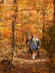Fall Color Hikes
