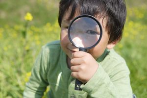 Mini Camp: Zoo Detectives  (1st and 2nd grades)