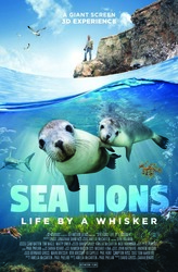 AHA! Night at the Whaling Museum: Summer in the Seaport