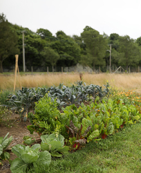 Unlocking Your Land’s Potential: Leasing Land for Agriculture