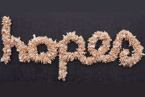 Opening Reception: “The Loser Show”