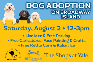 Dog Adoption on Broadway Island