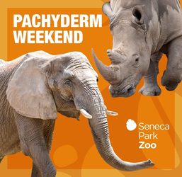 Pachyderm Weekend 2025