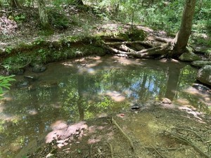 Creek Seekers Stream Watch