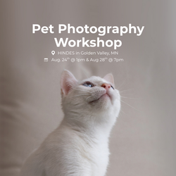 Pet Photography Workshop